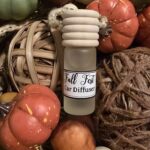 Fall Fest Car diffuser