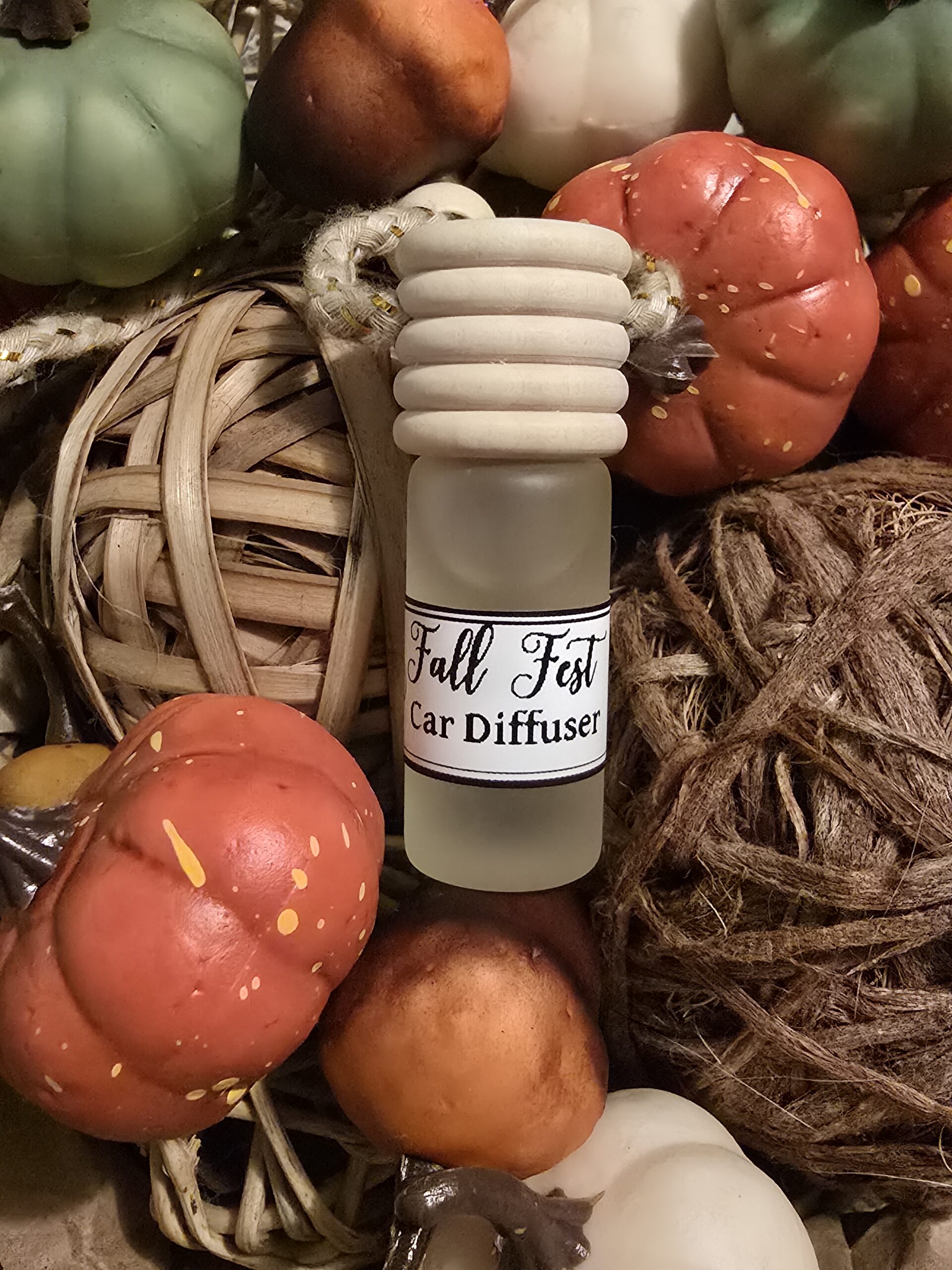 Fall Fest Car diffuser